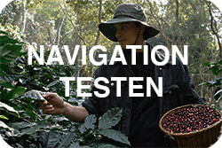 Keyvisual Navigation testen